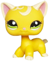 #2194 Shorthair Cat